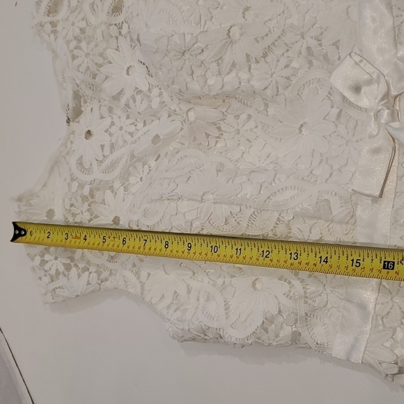 NEW Sue Wong Lace Open Back Dress Size 12 - Picture 10 of 16